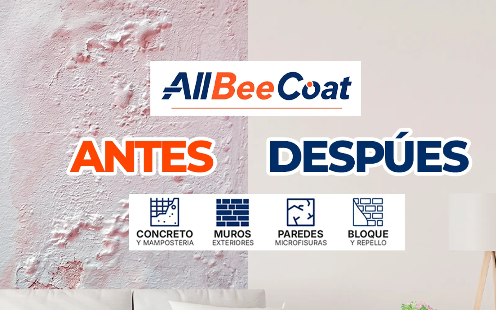 Trabajo de Nexus 360 para Bee Color