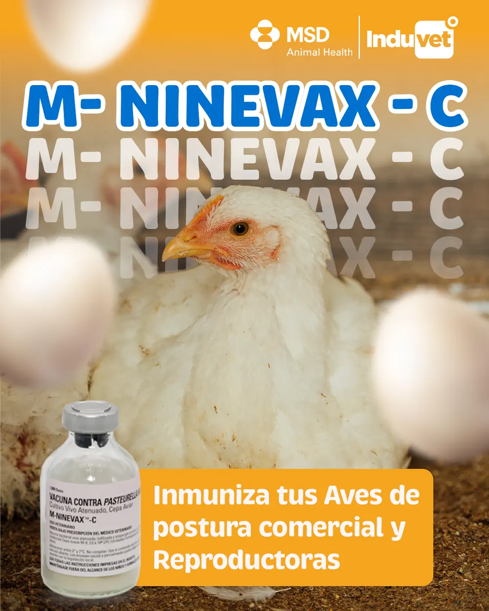 Pieza para Induvet