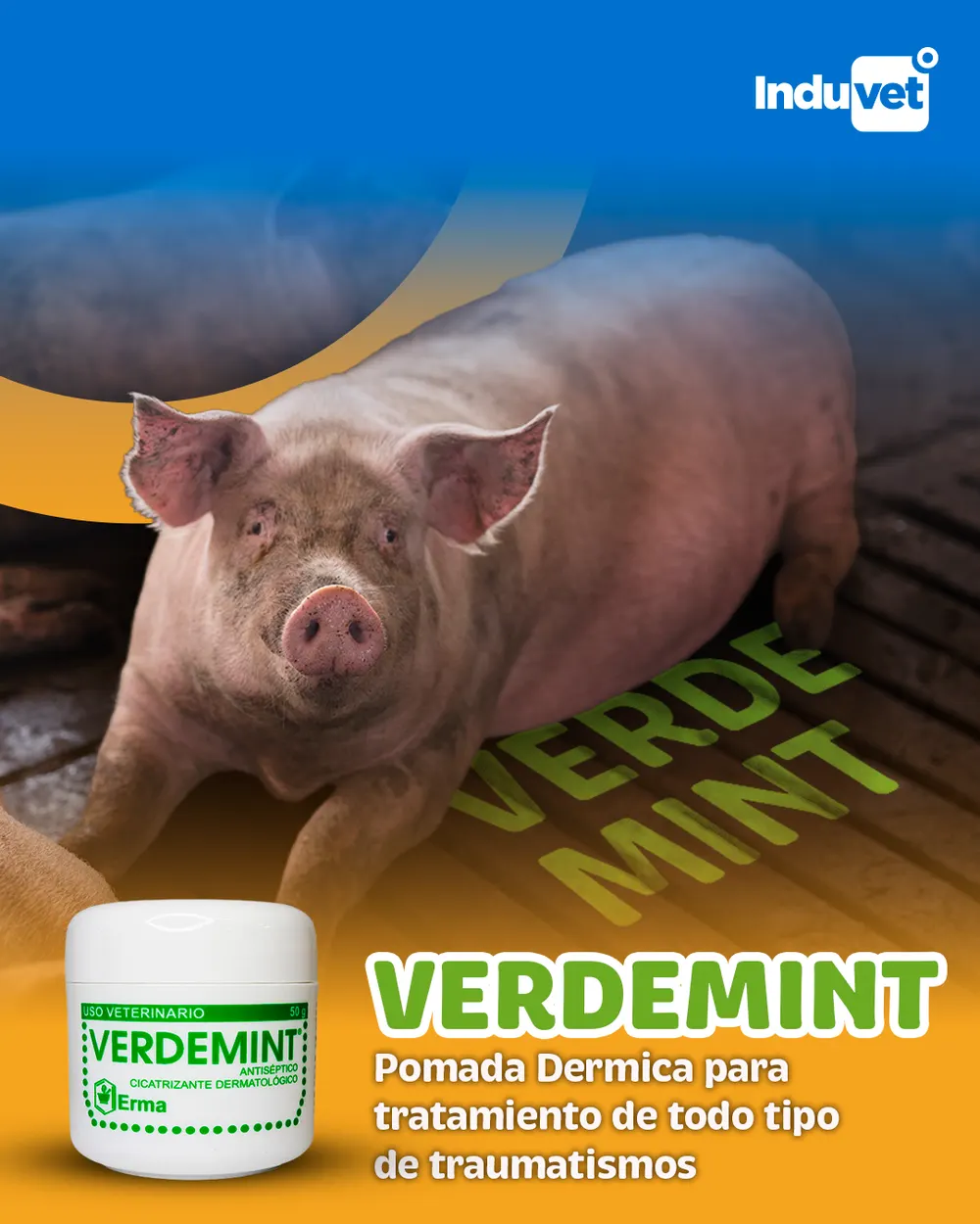 Pieza para Induvet