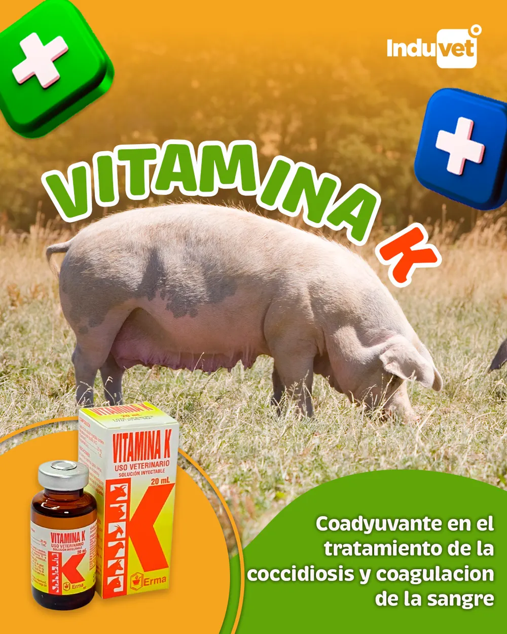 Pieza para Induvet