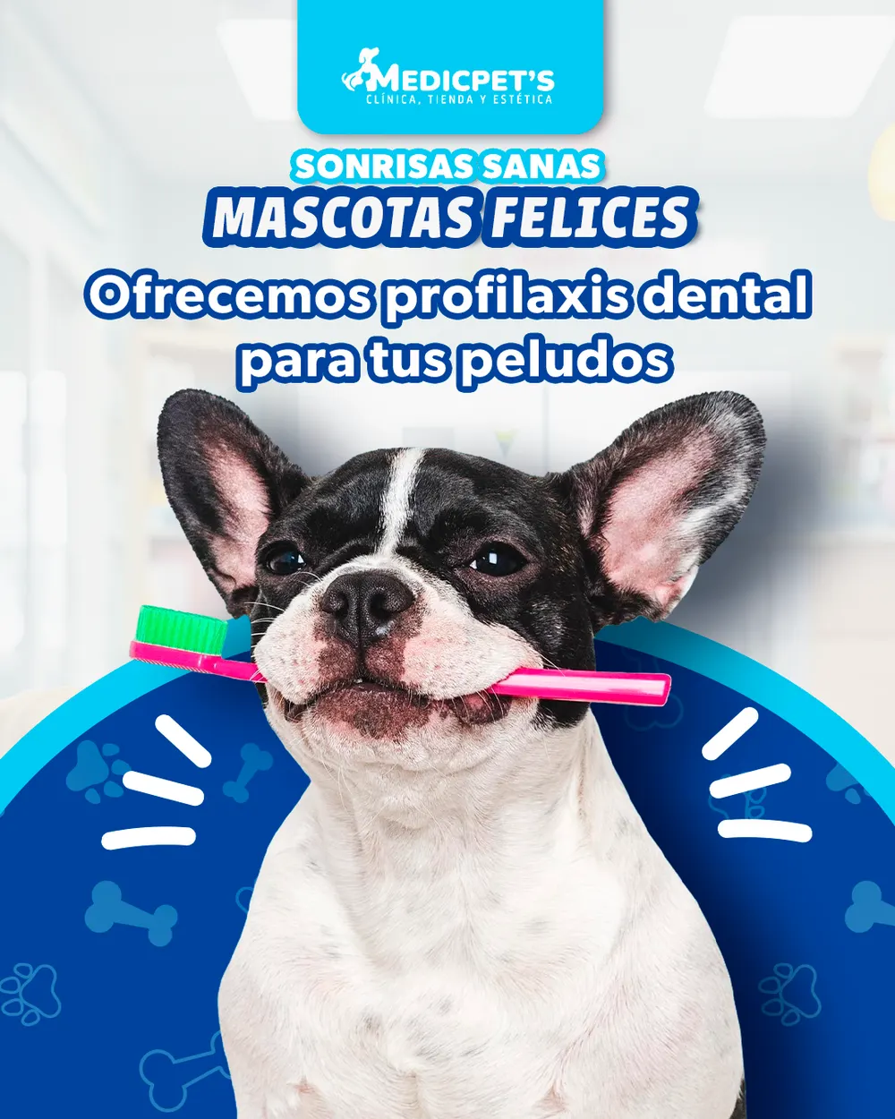 Pieza para MedicPet's