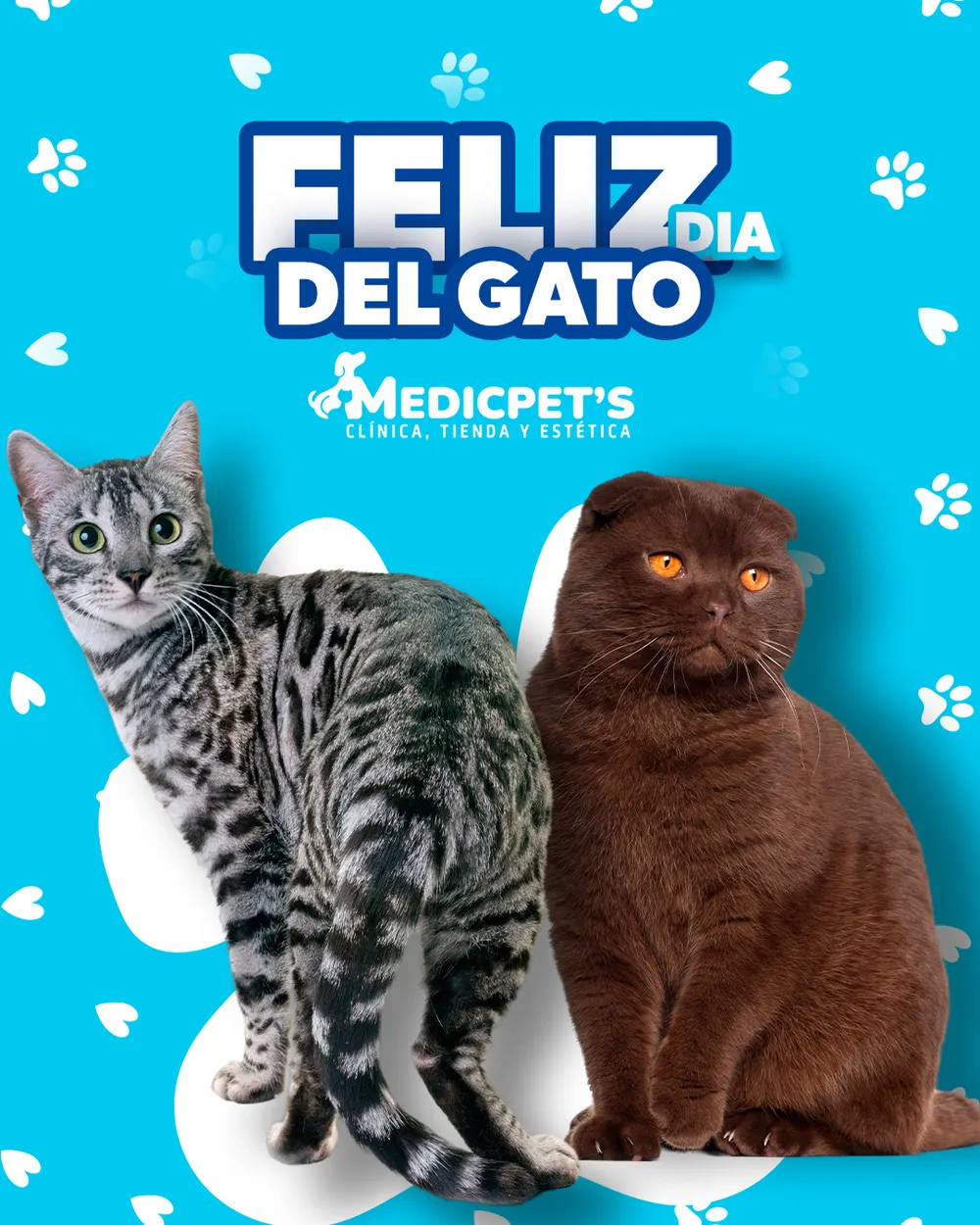 Pieza para MedicPet's