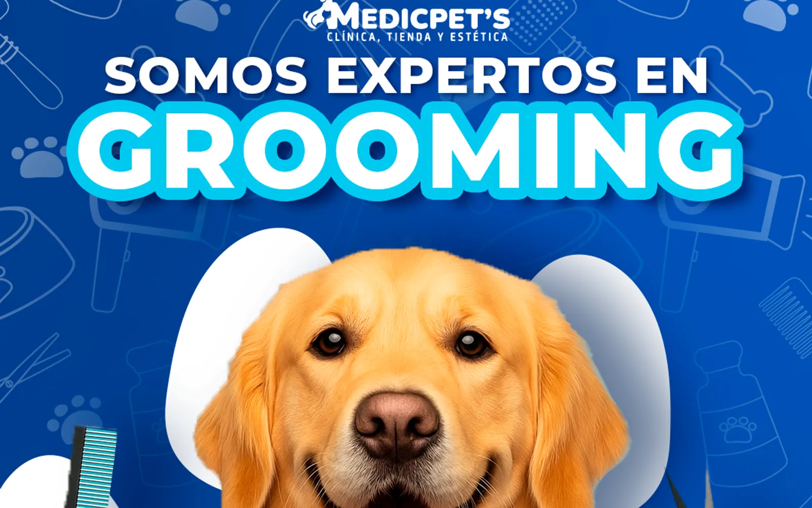 Trabajo de Nexus 360 para MedicPet's