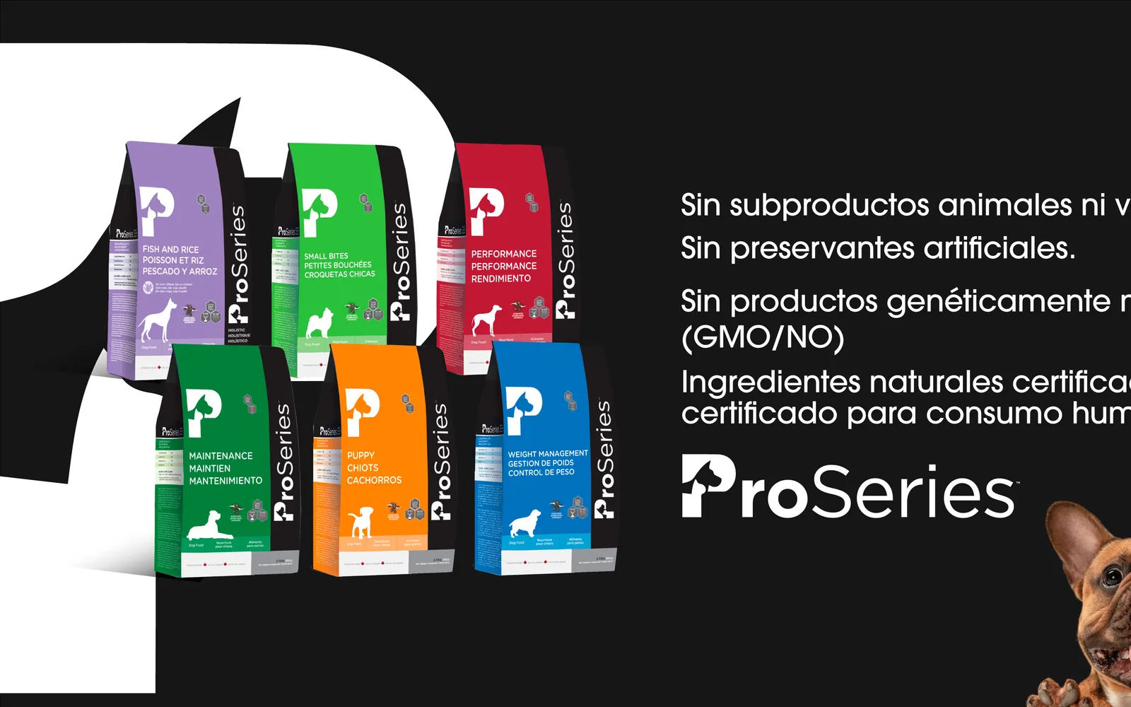 Trabajo de Nexus 360 para ProSeries