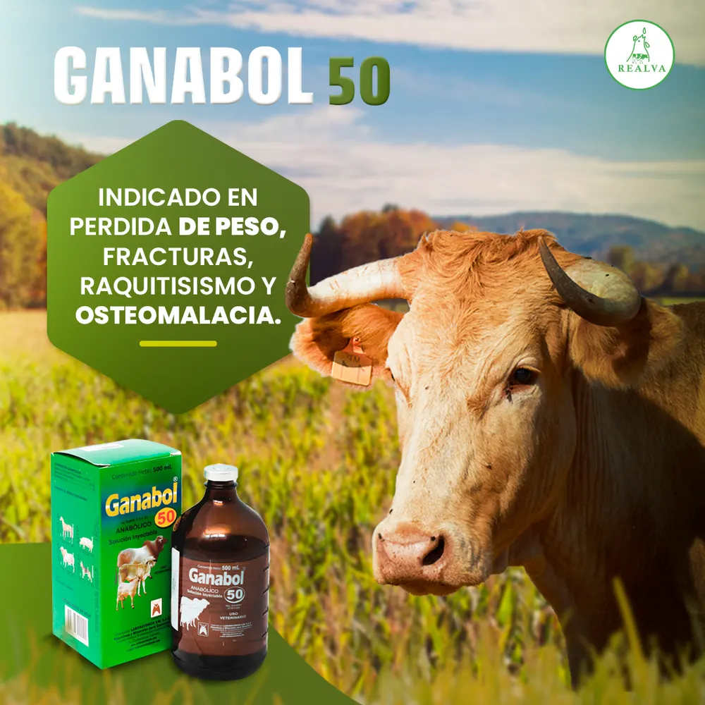 Pieza para Realva