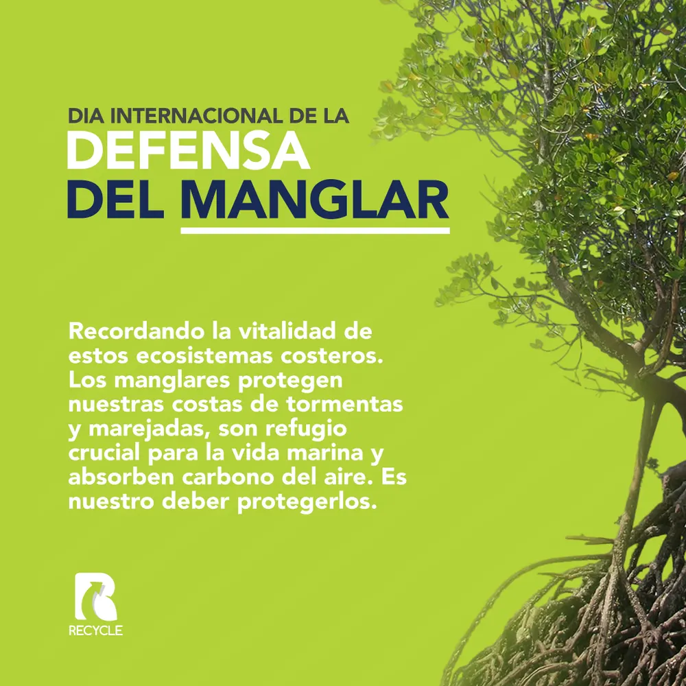 Pieza para Recycle